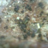 Pirita
cristal de 3 mm.
(Autor: P. apita)