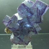 Fluorita
12x9 cm
(Autor: jaume.vilalta)