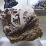 Yeso
10x8 cm
(Autor: jaume.vilalta)