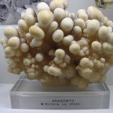 Aragonito
14x8x6 cm
(Autor: jaume.vilalta)