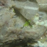 Autunita
cristal mayor 2 mm
(Autor: P. apita)