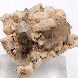 (Autor: Martí Rafel)