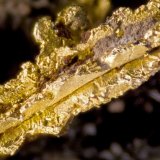 Oro
1.5 mm
(Autor: Cesar M. Salvan)