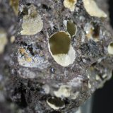 Clinoptilolita
5 x 5 cm. (detalle)
(Autor: Jose Bello)