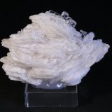Barita y Fluorita
6 x 4 cm.
(Autor: Darío Menéndez)
