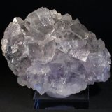 Fluorita
11 x 8 cm. (Cristal mayor: 1,9 cm.)
(Autor: Darío Menéndez)