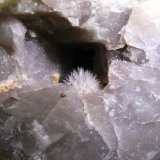Aragonito
Cristal de 1 cm.
(Autor: Calita)