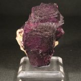 Fluorita
5 x 3,5 cm. (Cristal mayor: 2,5 cm).
(Autor: Darío Menéndez)