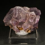Fluorita
5 x 4 cm. (Cristal mayor: 1,7 cm).
(Autor: Darío Menéndez)