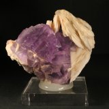 Fluorita y Barita
7 x 6 cm. (Cristal mayor: 2,3 cm).
(Autor: Darío Menéndez)