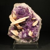 Fluorita y Barita
8 x 8 cm. (Cristal mayor: 1 cm).
(Autor: Darío Menéndez)