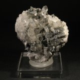 Cuarzo y Arsenopirita
7 x 6 cm.
(Autor: Darío Menéndez)
