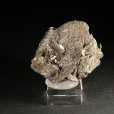 Arsenopirita
4 x 4 cm.
(Autor: Darío Menéndez)