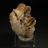 Cuarzo
5 x 4 cm.
(Autor: Darío Menéndez)