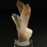 Cuarzo y Fluorapatito
4 x 2 cm.
(Autor: Darío Menéndez)