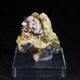 Eritrina y Dolomita
5 x 4 cm.
(Autor: Darío Menéndez)