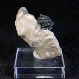 Hematites
4,5 x 3 cm.
(Autor: Darío Menéndez)