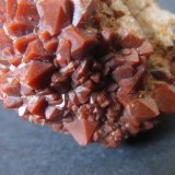 Cuarzo (variedad hematoideo, jacinto de Compostela)
4 cm. ancho de campo
(Autor: prcantos)