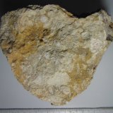 Caliza pisolítica
8 x 7 cm.
(Autor: prcantos)