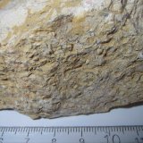 Caliza pisolítica
7 cm. ancho de campo
(Autor: prcantos)
