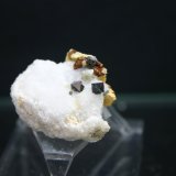 Espinela (variedad pleonasto), Clinohumita y Forsterita
31mm - 26mm - 16mm / 4mm - 4mm - 4mm
(Autor: Pedro Naranjo)