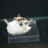 Espinela (variedad pleonasto), Clinohumita y Forsterita
31mm - 26mm - 16mm / cristales de espinelas 4mm - 4mm - 4mm
(Autor: Pedro Naranjo)