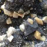 Dolomita, Esfalerita, Galena
5,5 cm x 4,5 cm
(Autor: Pedro FD)
