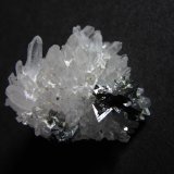 Tetraedrita y Cuarzo
3 x 3 cm.
(Autor: prcantos)