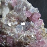 Elbaita (variedad rubelita) y Mica (variedad lepidolita)
5 cm. ancho de campo
(Autor: prcantos)