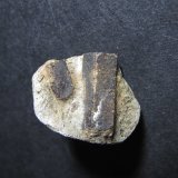 Estaurolita
2'5 x 2 cm.
(Autor: prcantos)