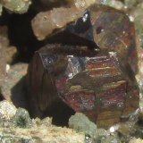 Pirita
Cristales entre 5 y 10 mm.
(Autor: Miguel Ángel Martinez)