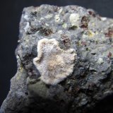 Natrolita-Mesolita (Serie)
2'5 cm. ancho de campo
(Autor: prcantos)