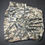 Micaesquisto con granate y anfíbol
10 x 10 cm.
(Autor: prcantos)