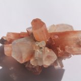 Aragonito.
5 cm. longitud.
(Autor: Rafael varela olveira)