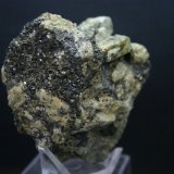 Augita (variedad fassaita) con pirrotina
53mm - 60mm - 40mm
(Autor: Pedro Naranjo)