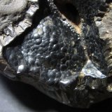 Goethita
4 cm. ancho de campo
(Autor: prcantos)