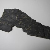 Pizarra con quiastolita
11 x 4'5 cm.
(Autor: prcantos)