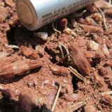 Aragonito
2-3 cm.
(Autor: Miguel Ángel Martinez)
