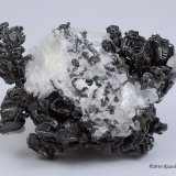 Acantita, Calcita
4.7 x 3.5 x 2 centimetros
(Autor: Ricardo Melendez)