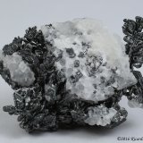 Acantita, Calcita
4.7 x 3.5 x 2 centimetros
(Autor: Ricardo Melendez)