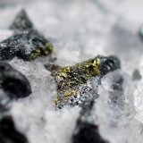 Acantita, Calcita, Oro
4.7 x 3.5 x 2 centimetros
(Autor: Ricardo Melendez)