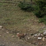 (Autor: Raul Vancouver)