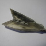 Yeso
4 x 2 cm.
(Autor: prcantos)