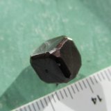 Pirita
1 cm.
(Autor: Miguel Ángel Martinez)