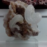Yeso
5 x 5 x 5 cm
(Autor: DavidSG)