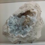 Celestina
8 x 8 x 6 cm
(Autor: DavidSG)