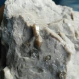 Cuarzo
0,5 x 0,3 cm
(Autor: Javi Llamazares)