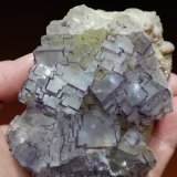Fluorita
6 x 6 x 4 cm.
(Autor: DavidSG)