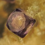 Fluorita
3,5 x 3 x 1 cm
(Autor: Antonio Alcaide)