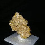 Wulfenita
3,5cm x 3,5cm
(Autor: srm13151)